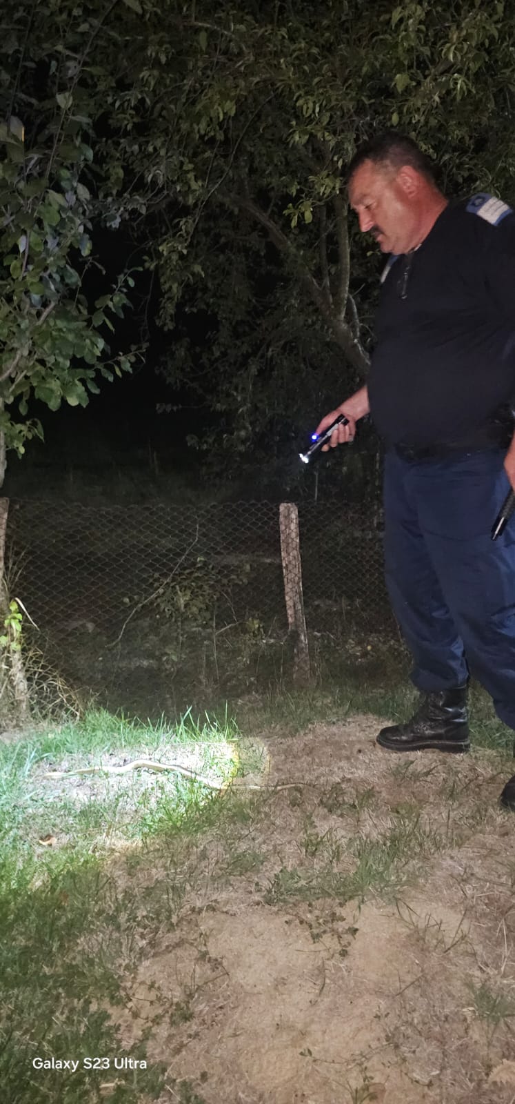 Prezența unui urs în Bumbești-Jiu a alertat&nbsp;autoritățile