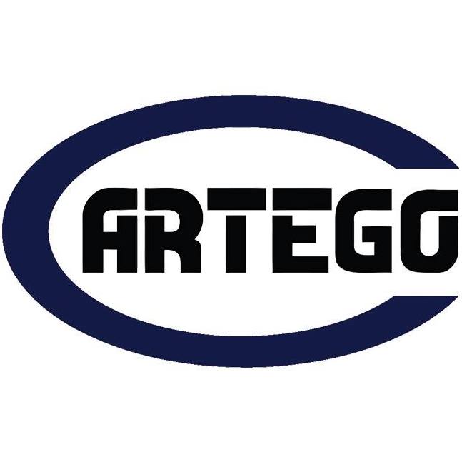 Viorel David, reconfirmat ca administrator al Artego S.A. pentru un nou mandat de 4 ani