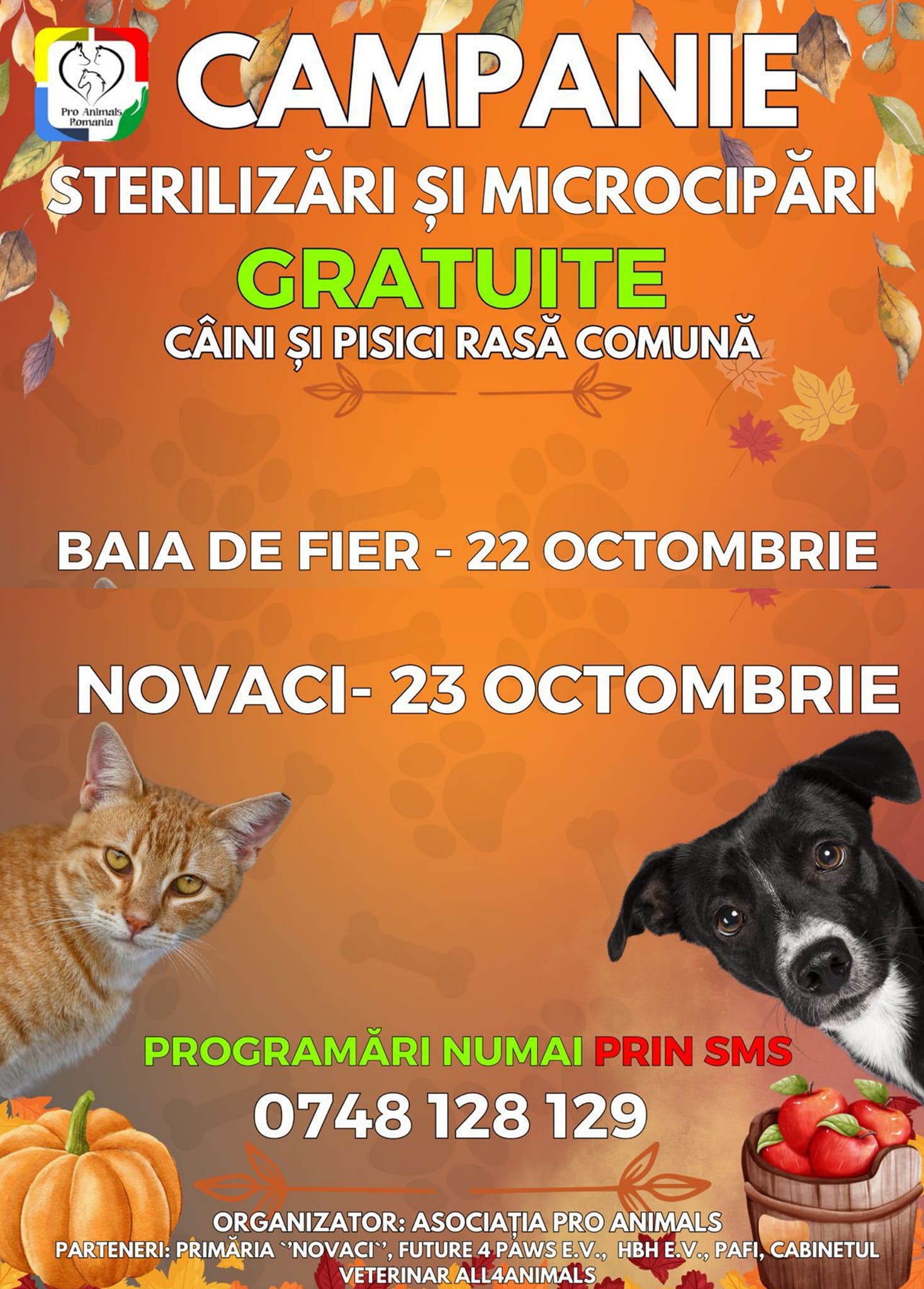 Nouă campanie gratuită de sterilizare a animalelor organizată de Asociația Pro Animals
