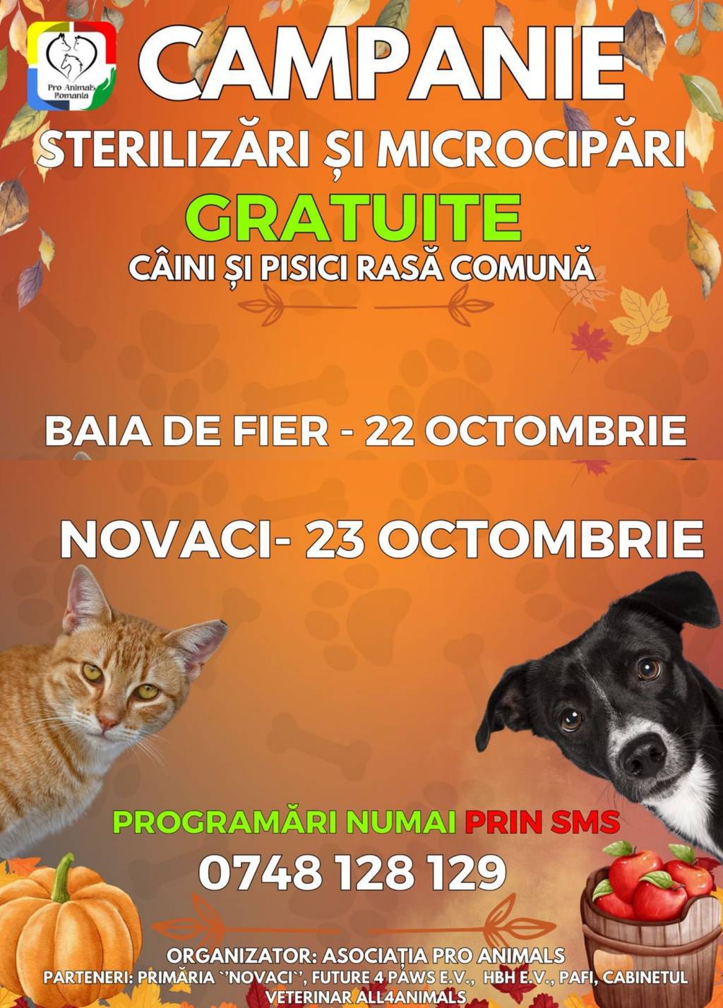 Nouă campanie gratuită de sterilizare a animalelor organizată de Asociația Pro&nbsp;Animals