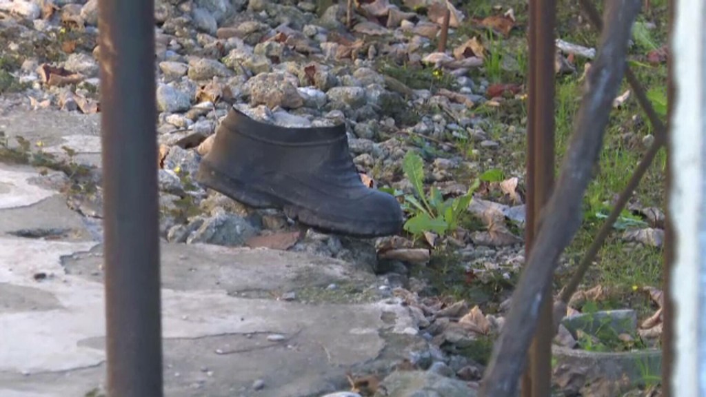 Descoperire șocantă în Gorj: Fragmente osoase găsite de un câine în comuna&nbsp;Bâlteni