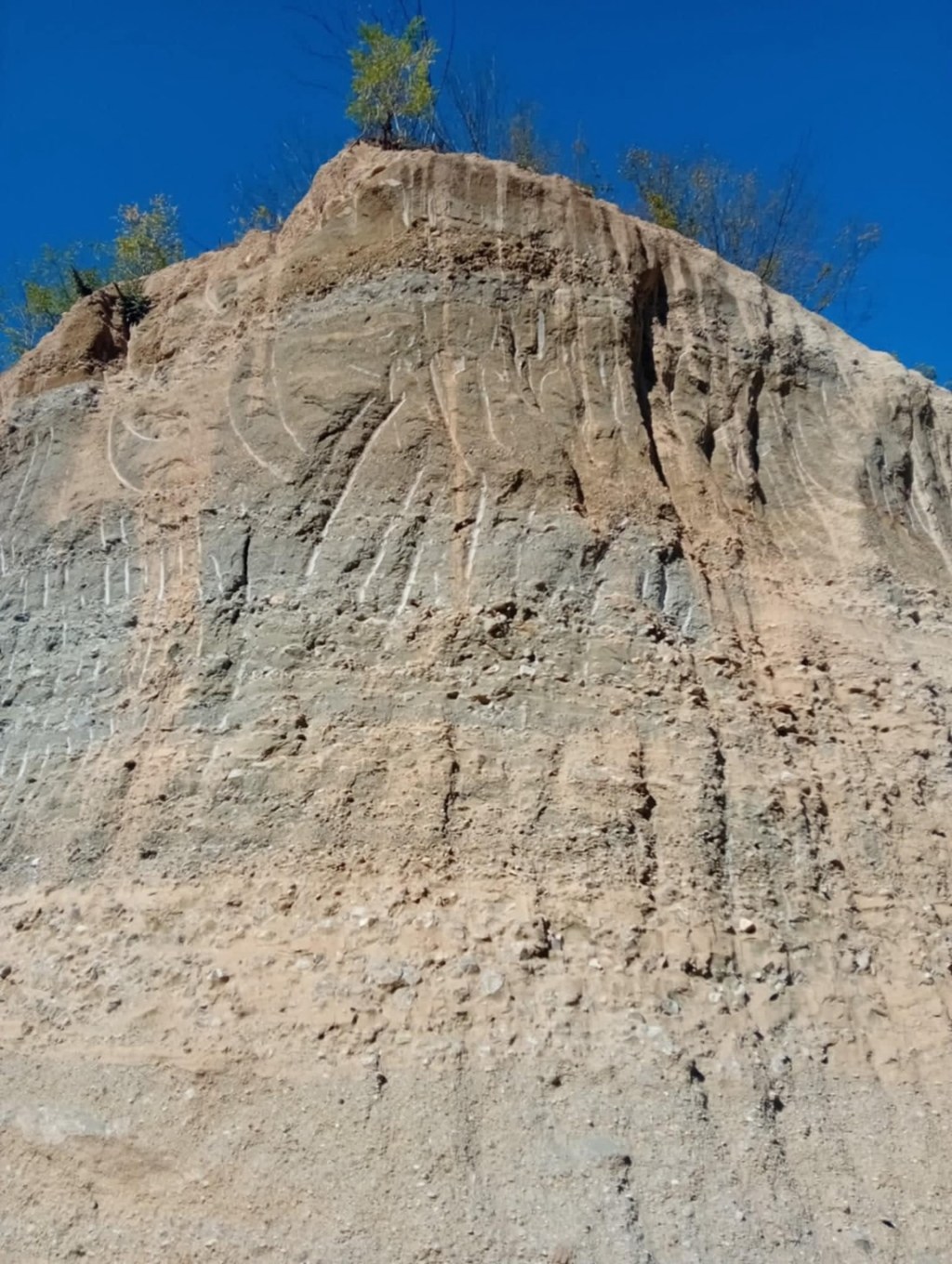 Amendă de la Garda de Mediu&nbsp;Gorj