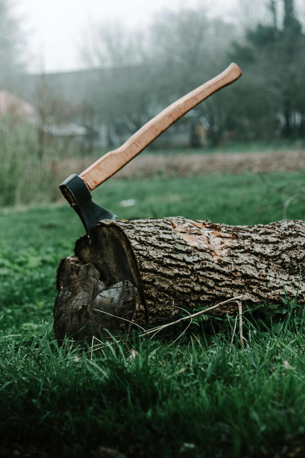 Amenințări pe o stradă din Târgu&nbsp;Jiu