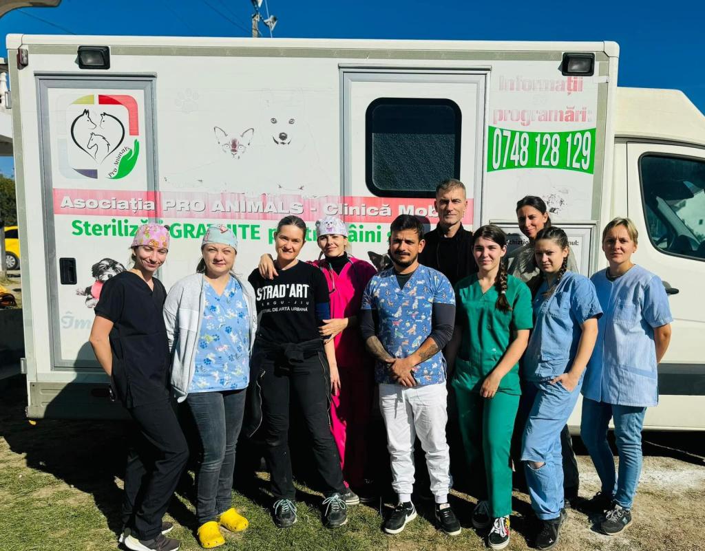 Campanie record de sterilizare gratuită în Gorj: peste 600 de&nbsp;animale