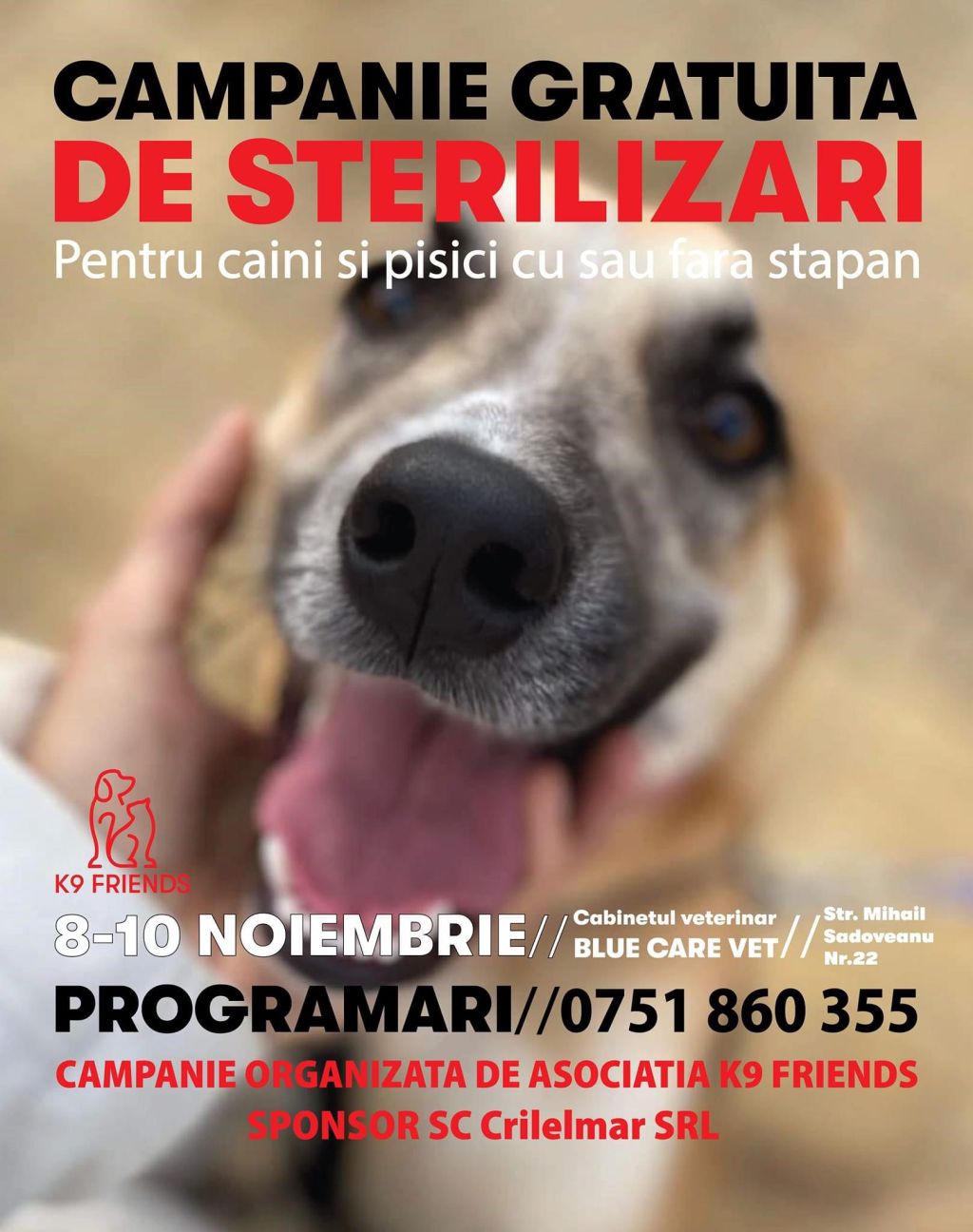 Asociația K9 Friends lansează o campanie gratuită de sterilizări și microcipări pentru câini și pisici la Târgu&nbsp;Jiu