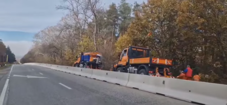 Măsuri de siguranță pe DN 67: Vegetația de pe marginea drumului, defrișată de SDN Târgu Jiu