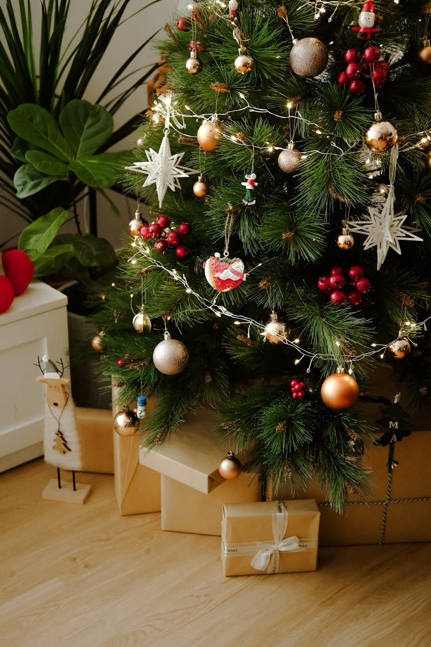 Primii brazi de Crăciun au apărut în Târgu Jiu. Prețuri!