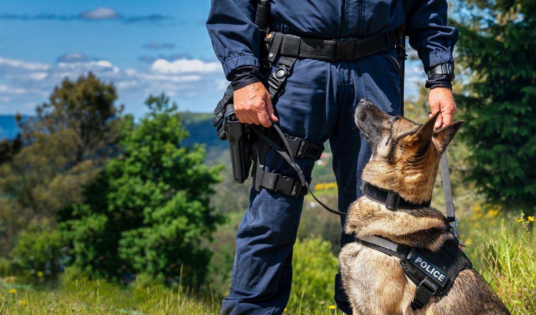 Reținut după ce a încălcat ordinul de protecție și a fugit de poliție