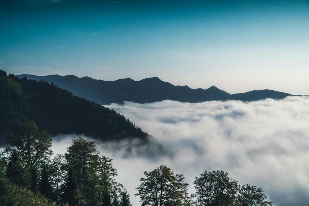 Cod galben de ceață, în această&nbsp;dimineață