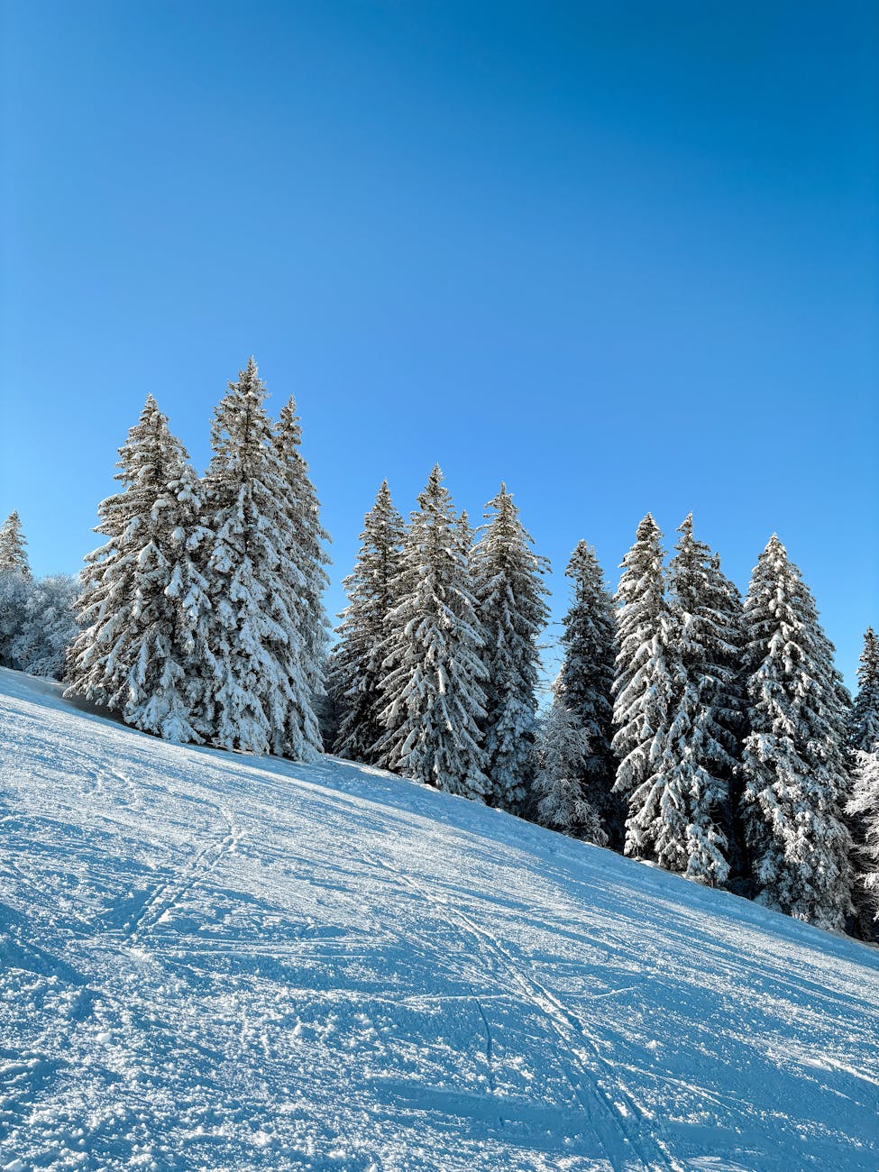 Iarna pune stăpânire pe zona montană a județului Gorj: ninsoare și condiții dificile de trafic în&nbsp;Rânca