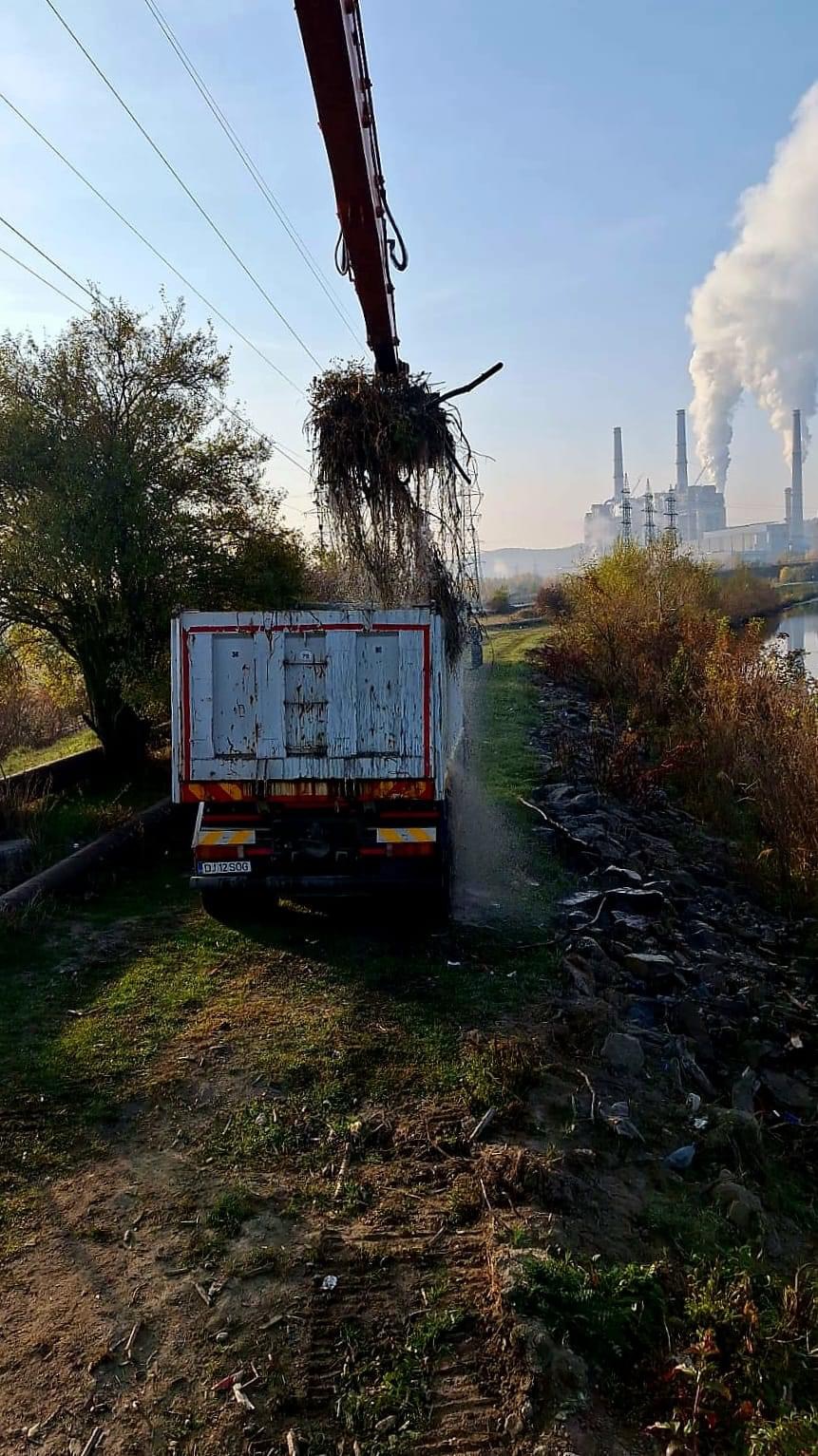 100 de tone de deșeuri strânse de pe râul&nbsp;Jiu