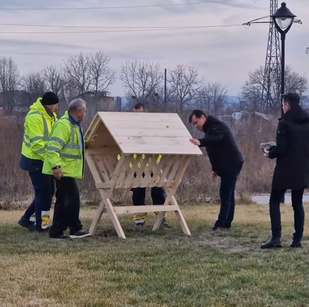 Căprioarele s-au întors în Parcul&nbsp;Narciselor