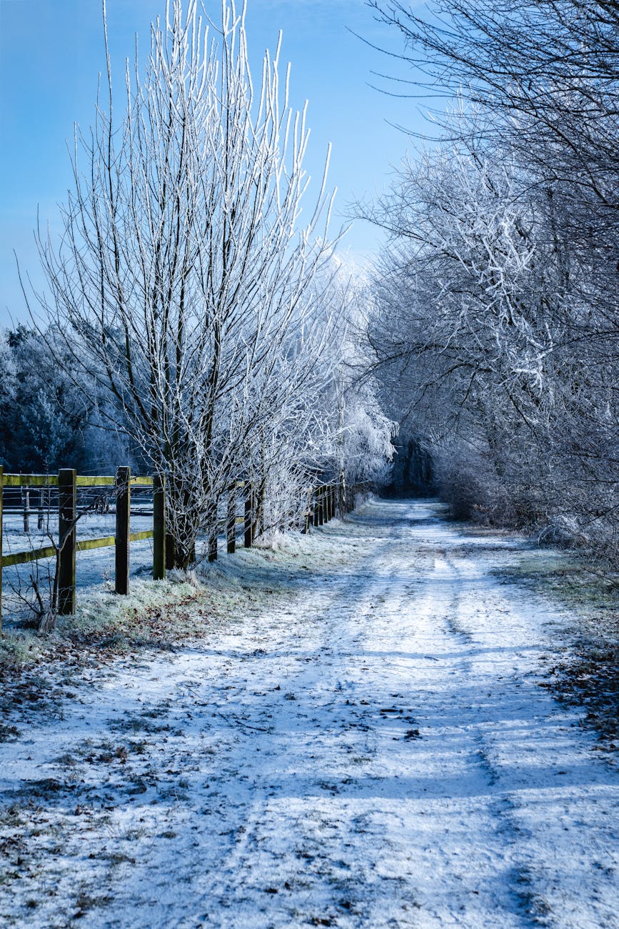 Ger năprasnic la Târgu Jiu: temperaturi de până la -14 grade&nbsp;Celsius