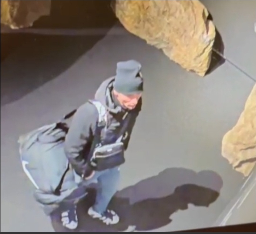 Cum arată hoții care au furat tezaurul dacic din Olanda? Autoritățile cer ajutorul oamenilor pentru&nbsp;identificare