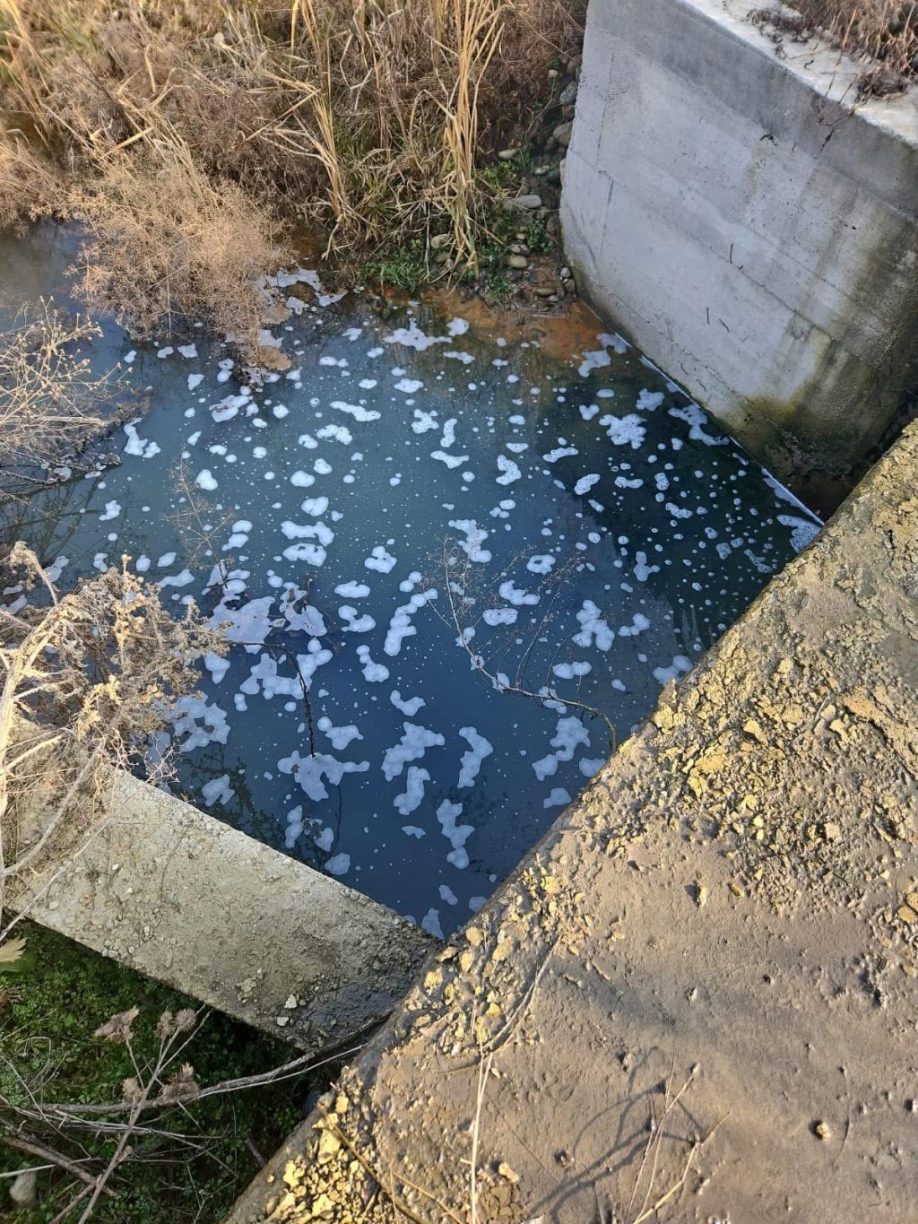 Poluare în cartierul Primăverii din Târgu Jiu – o firmă amendată cu 60.000 de&nbsp;lei