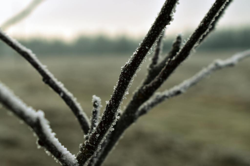 Ger năprasnic în următoarele zile: temperaturi de până la -17&nbsp;grade