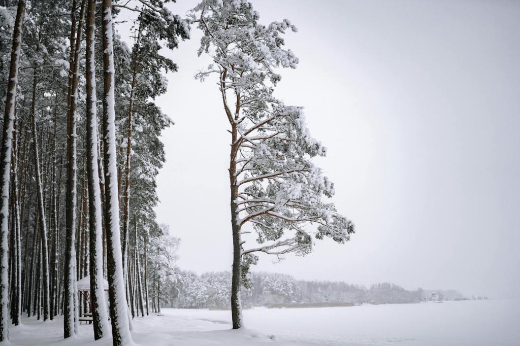 Vremea se schimbă radical: ninsori, lapoviță și ploi în toată&nbsp;țara