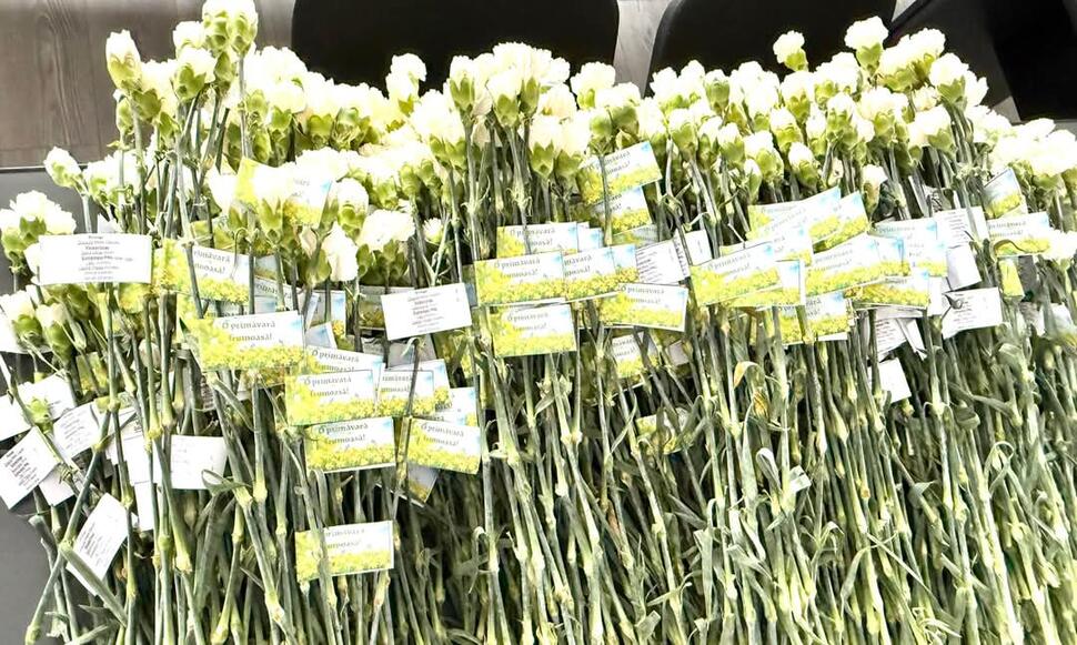 Primăvara începe cu flori pentru doamnele dintr-o comuna din&nbsp;Gorj