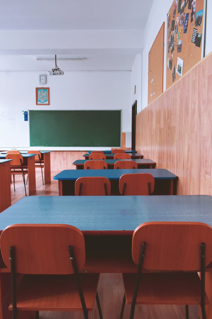 Ministerul Educației introduce un sistem de sesizări anonime în școli și universități