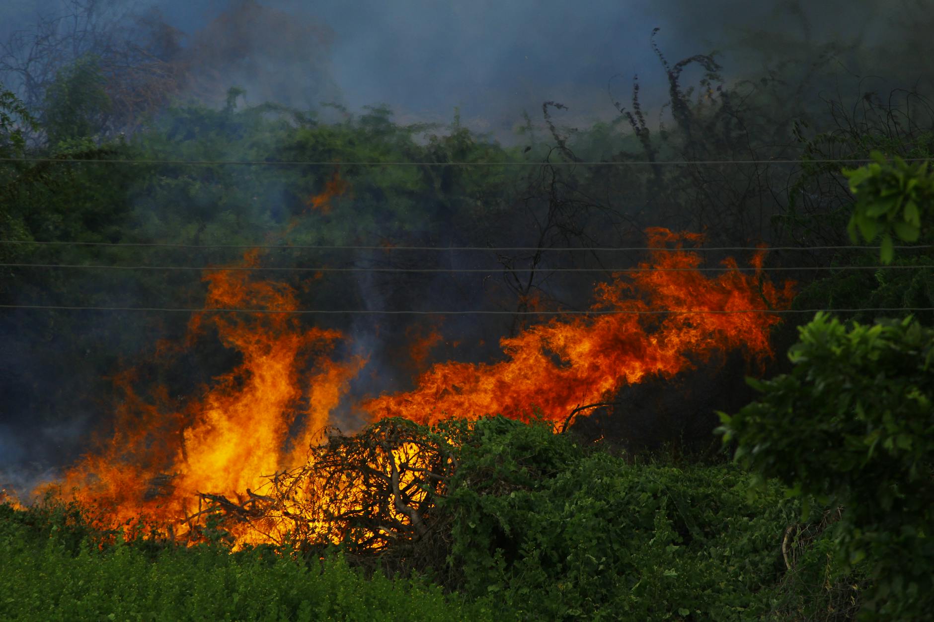 Incendii de vegetație scăpate de sub control în Gorj: trei bărbați amendați cu 22.500 de lei