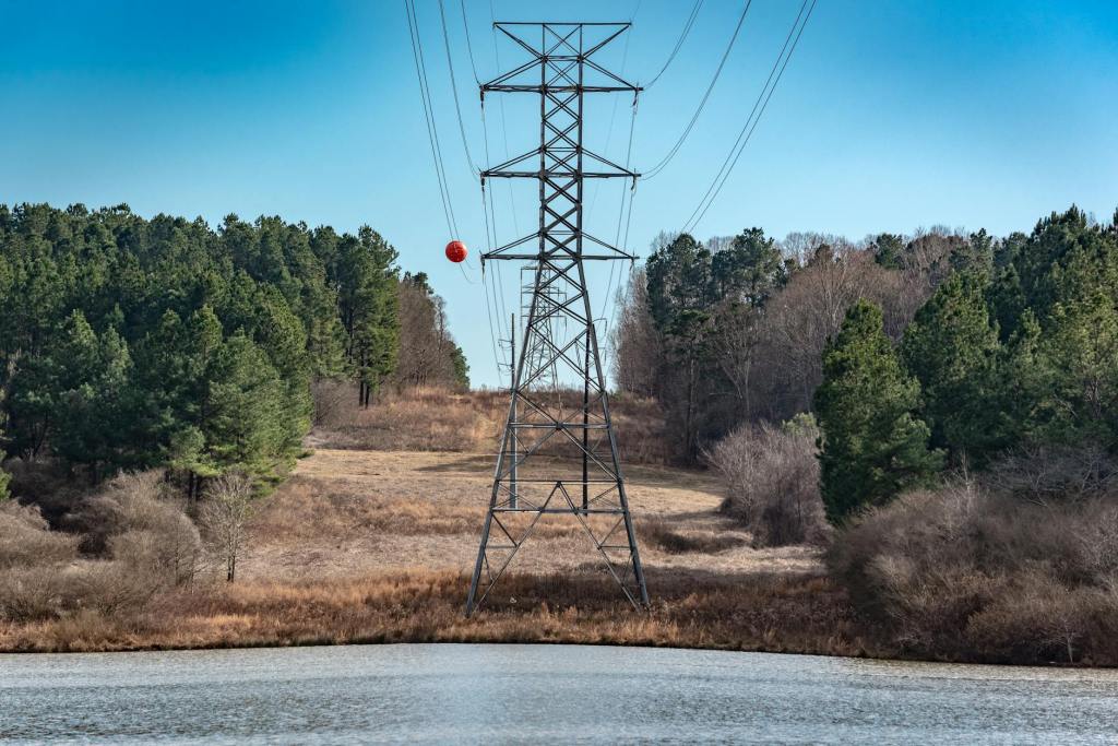 Taxa pe stâlp, modificată oficial: noi procente și reduceri pentru plata&nbsp;anticipată