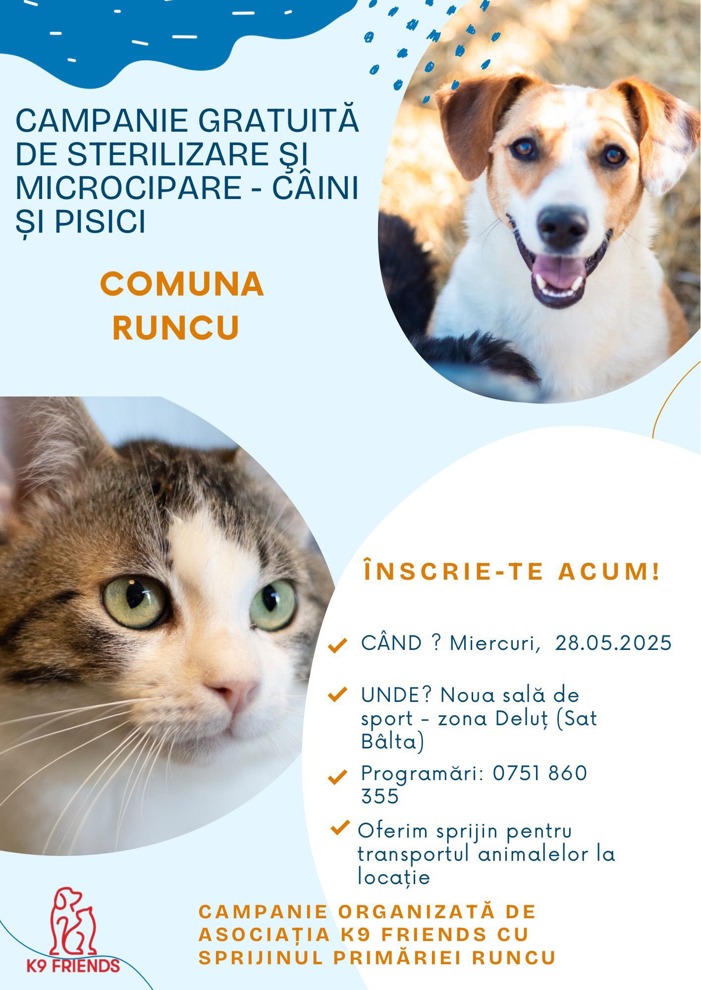 Campanie gratuită de sterilizare și microcipare la Bâlta