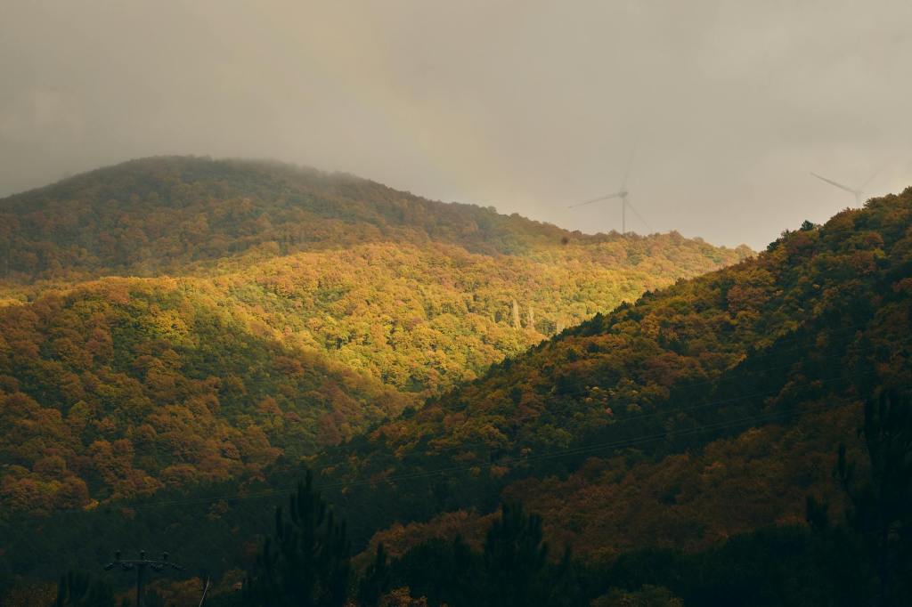 Cod galben de furtuni în 25 de județe. Vremea instabilă se menține până joi&nbsp;seara