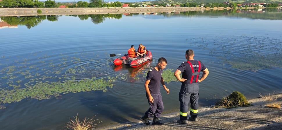 O lebădă rănită, găsită pe malul lacului din Parcul Central Târgu Jiu. Pompierii au&nbsp;intervenit