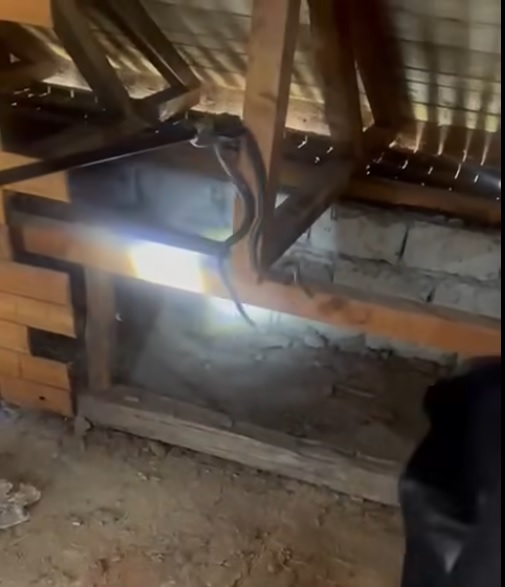 Jandarmii gorjeni au intervenit pentru îndepărtarea unui șarpe din podul unei case din&nbsp;Bărbătești