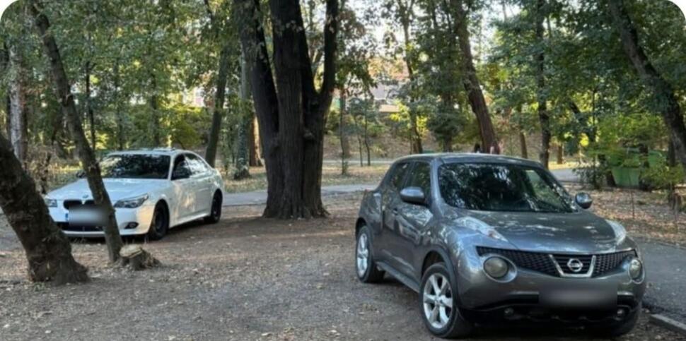 Șoferi amendați după ce au intrat cu mașinile în Parcul Central din Târgu Jiu