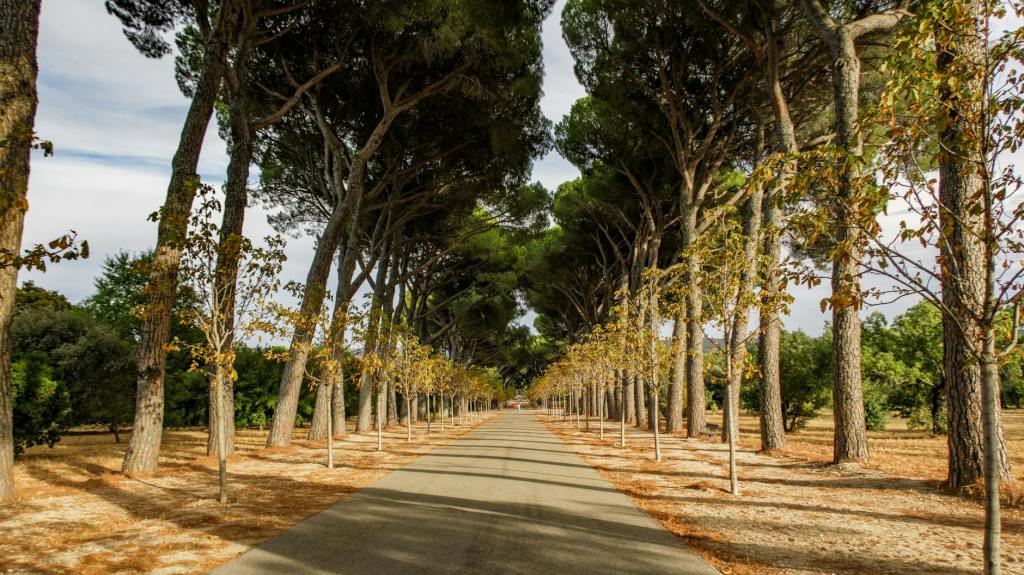 Prognoza meteo pentru luna septembrie: temperaturi mai ridicate și ploi mai&nbsp;puține