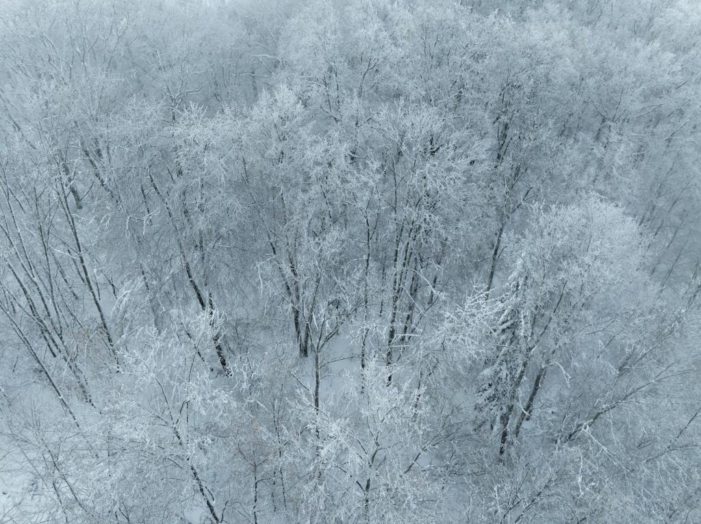 ANM anunță vreme severă în toată țara. Lapoviță, ninsoare și cantități mari de precipitații până pe 30&nbsp;noiembrie