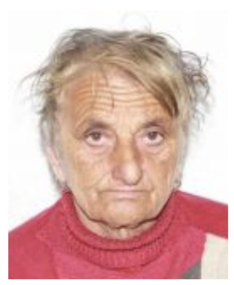 Femeie de 77 de ani din Dobrița, dispărută fără urmă. Autoritățile o caută cu echipe mixte și câine de&nbsp;urmă
