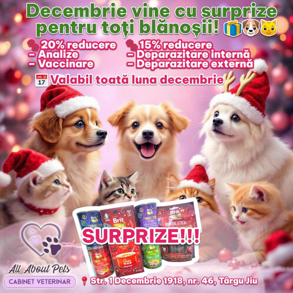 Decembrie aduce reduceri și surprize pentru toți blănoșii la All About Pets Târgu&nbsp;Jiu