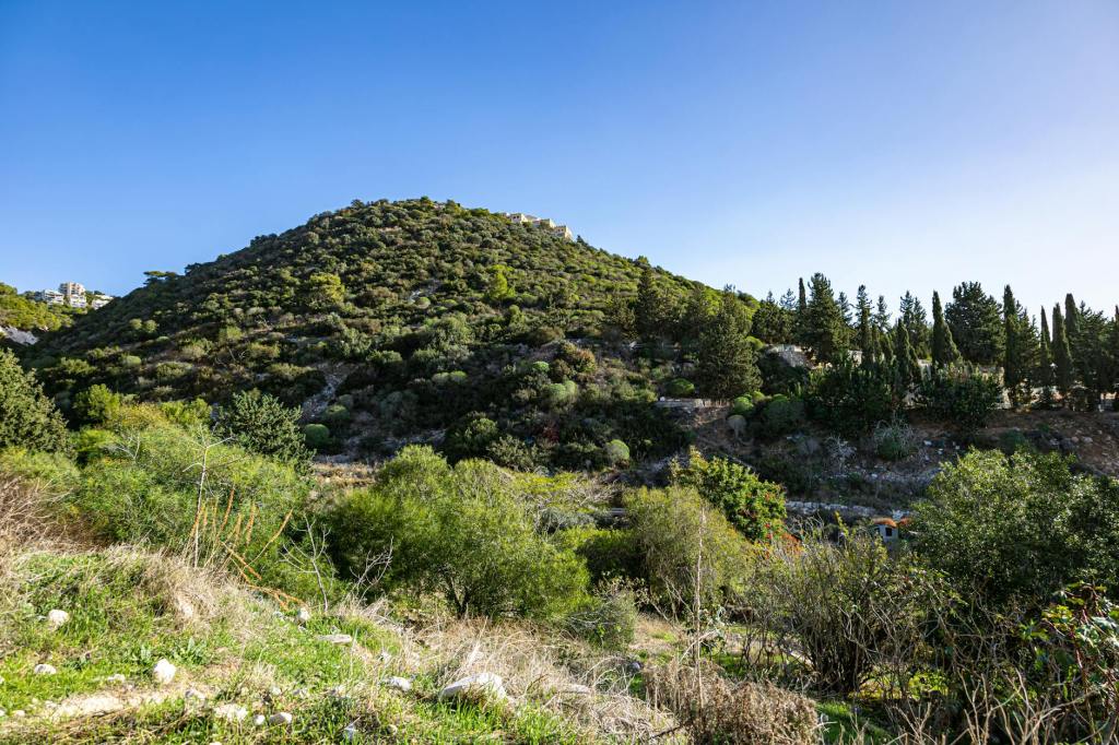 Tragedie într-o pădure: Bărbat dispărut găsit spânzurat. Poliția a deschis o&nbsp;anchetă