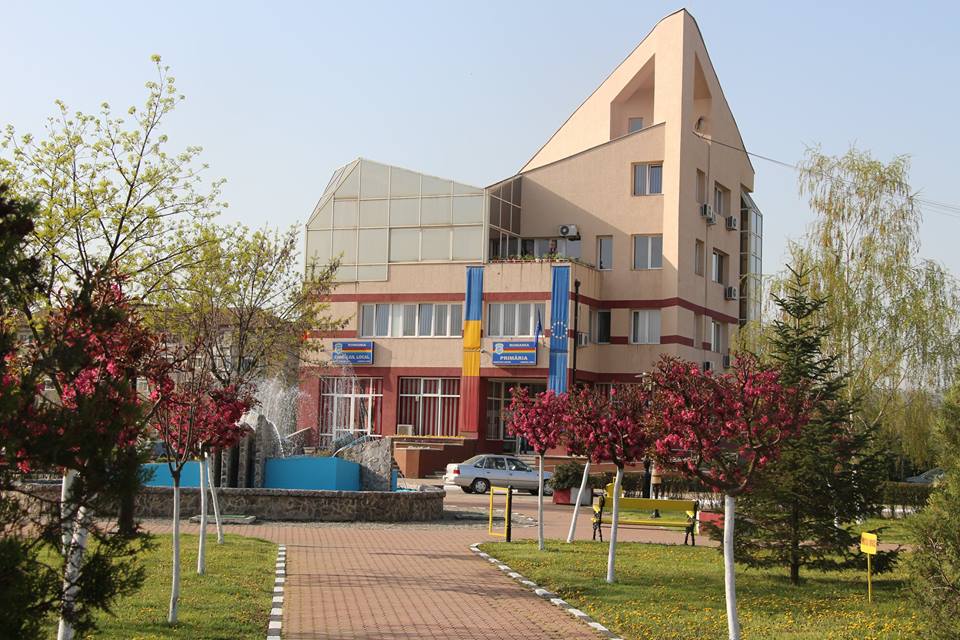 Criză în administrația din Gorj: 46 de angajați pleacă din Primăria Motru