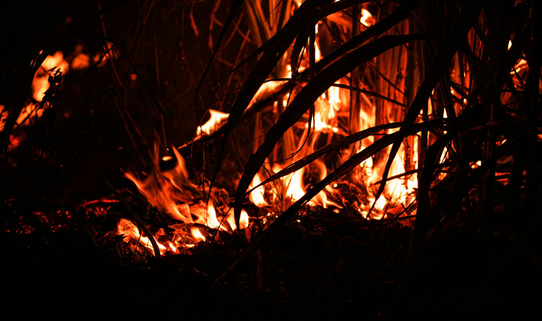 Mobilizare în Runcu: zeci de localnici au intervenit pentru stingerea unui incendiu de vegetație