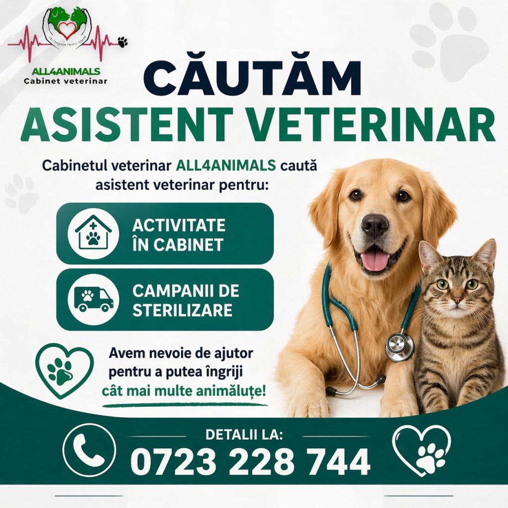 Căutare urgentă de personal la un cabinet veterinar din Gorj: este nevoie de asistent pentru activitatea zilnică și campaniile de&nbsp;sterilizare