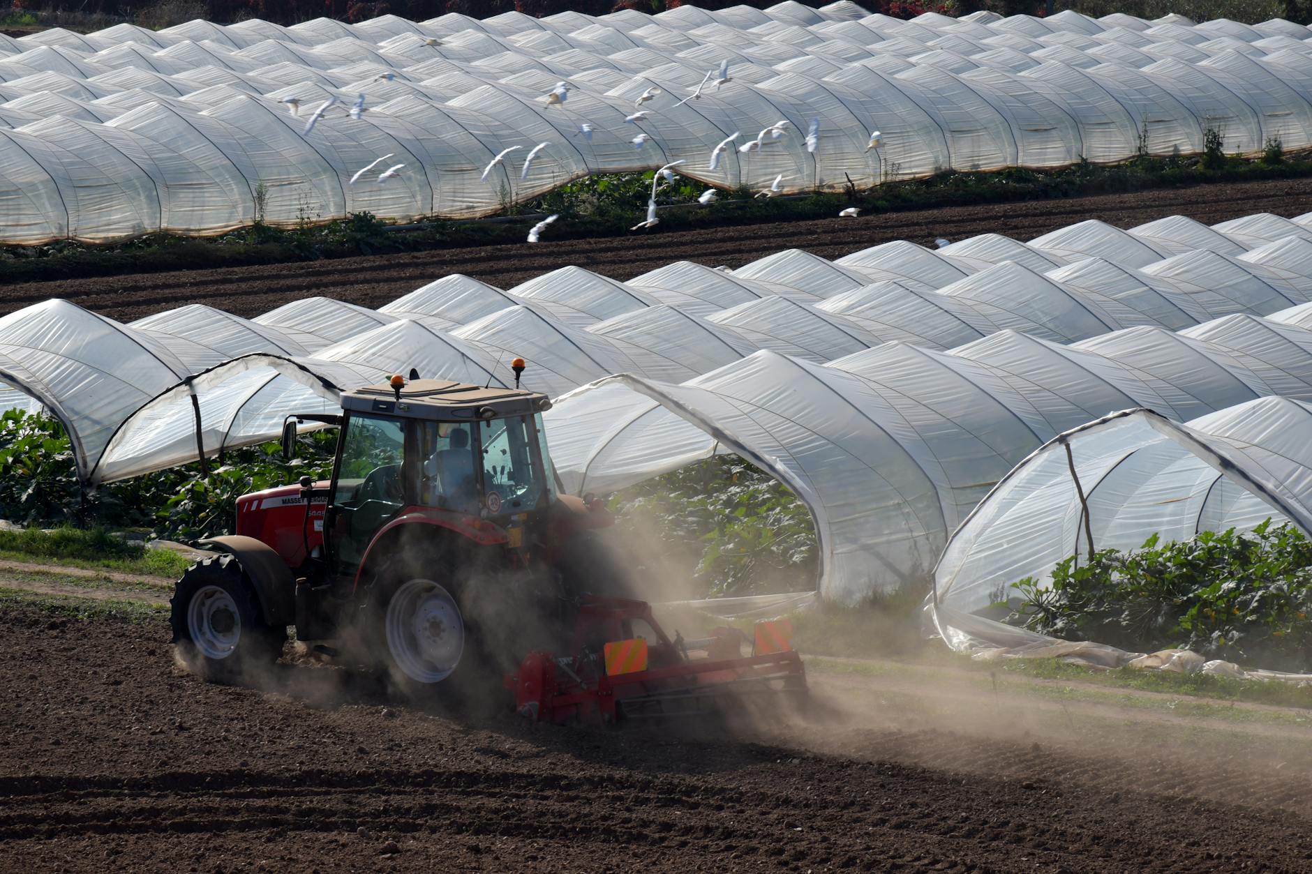 Florin Barbu avertizează: agricultura riscă blocaj total fără măsuri urgente pentru fermieri