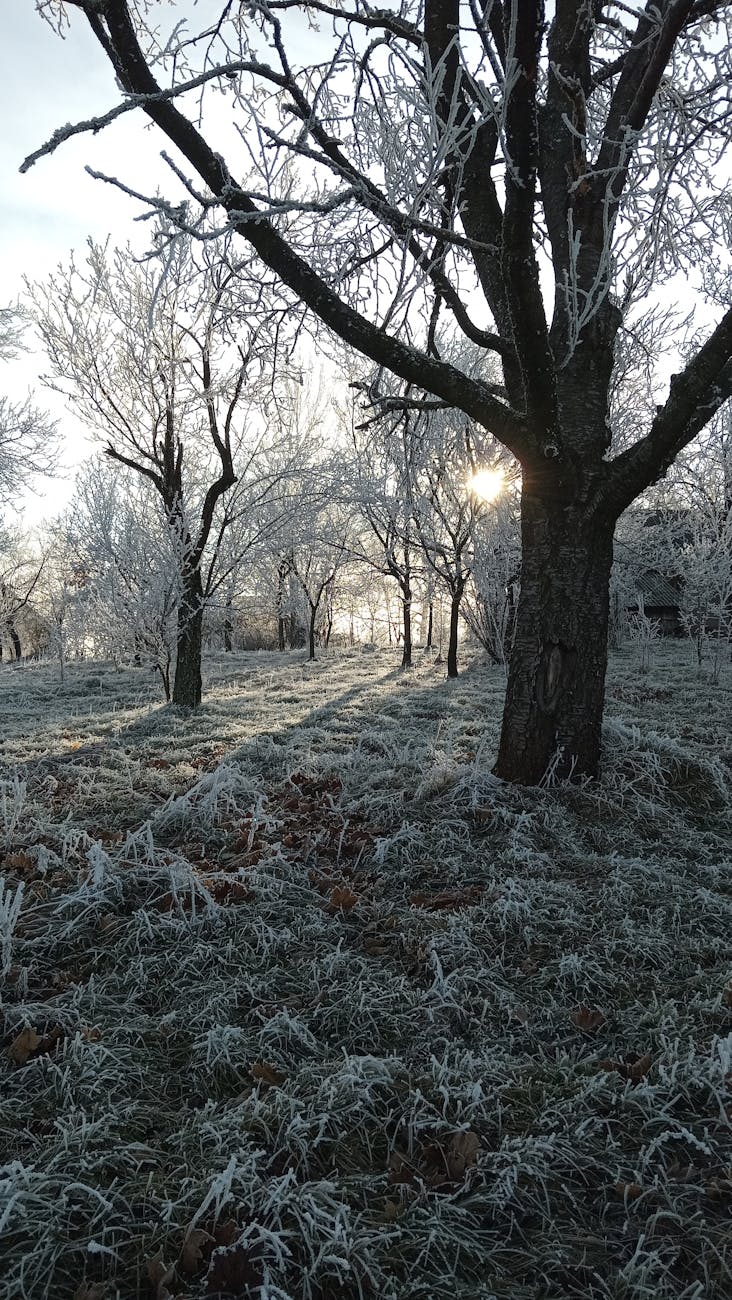 Vine frigul peste România: temperaturi cu până la 12 grade sub normal și ninsori la&nbsp;munte