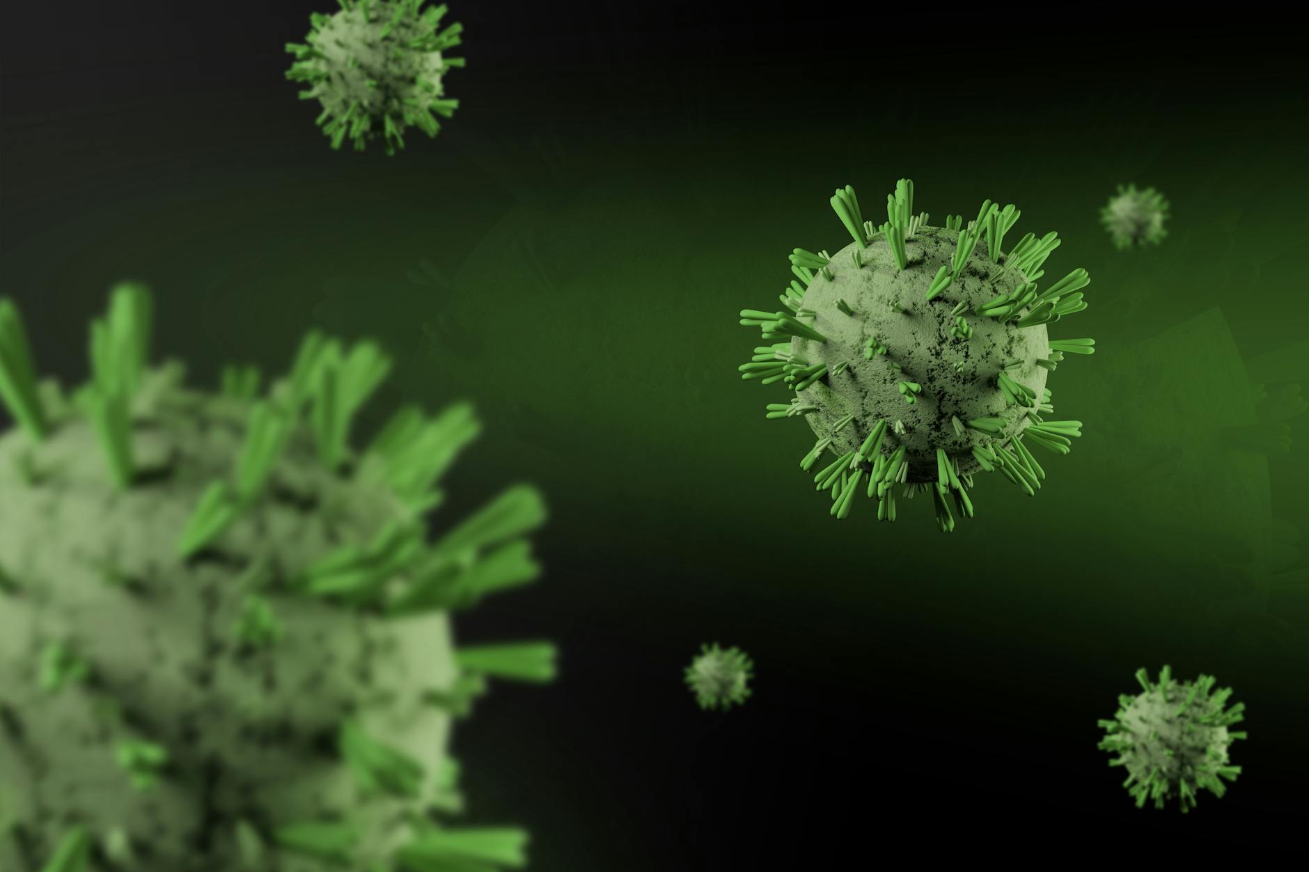 Pasager american de pe nava MV Hondius, testat pozitiv la hantavirus. Un alt evacuat are simptome ușoare