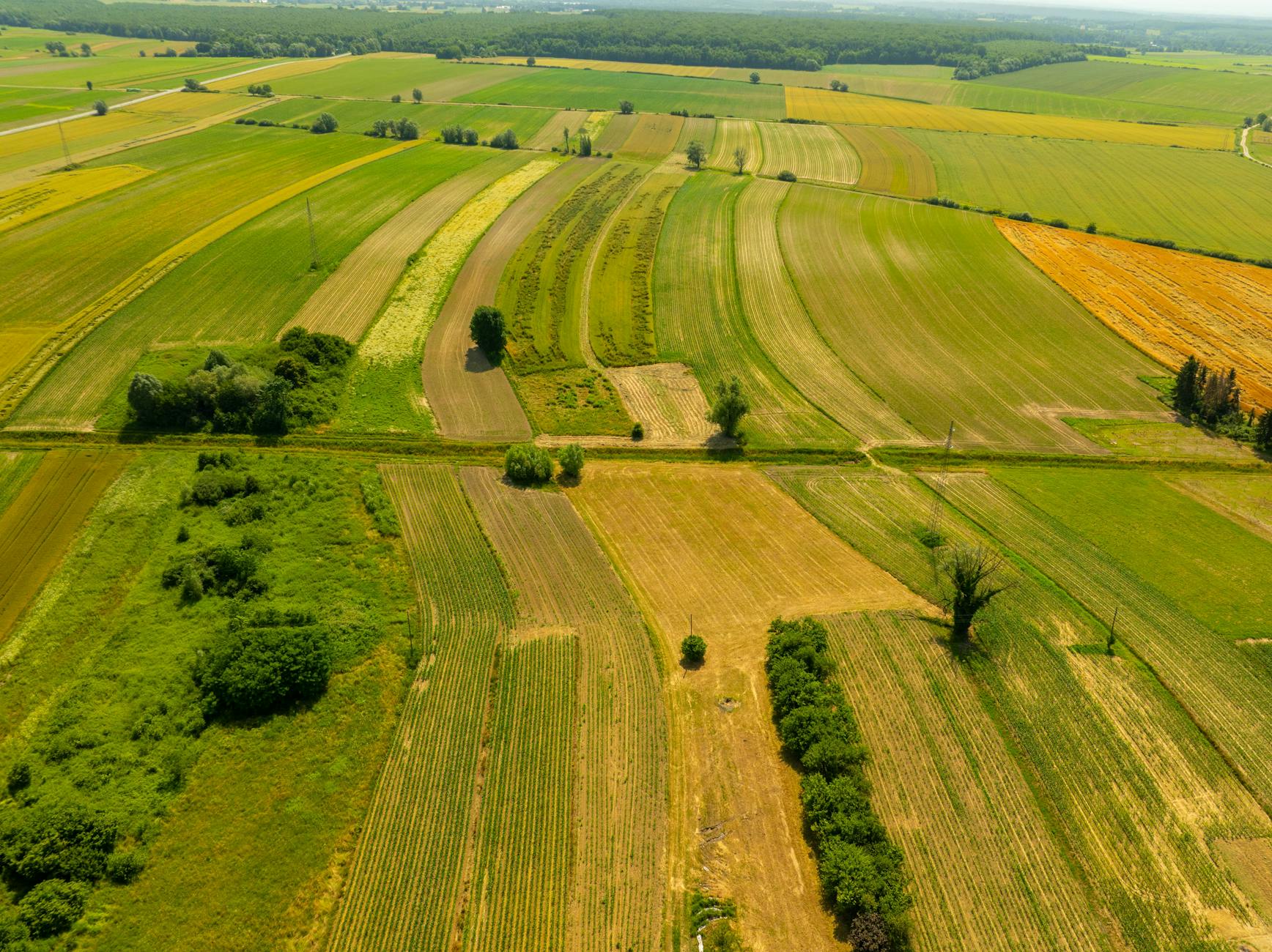 APIA a început plata rentei viagere agricole. Câți beneficiari sunt în Gorj